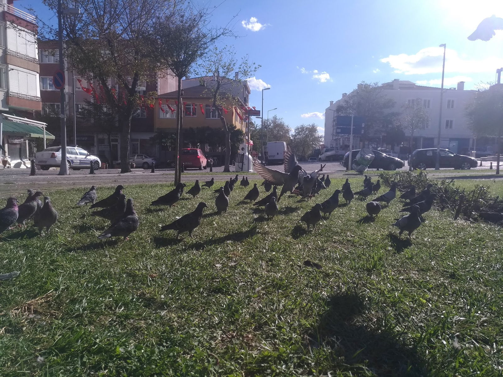 Selimpaşa Meydan Kahvehanesi