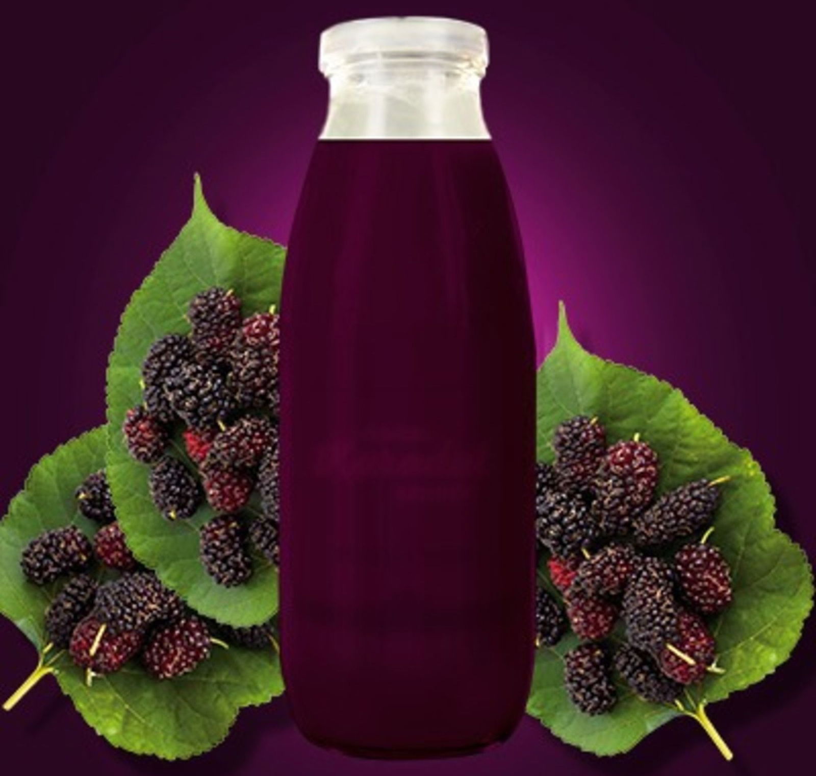 Karadut Şerbeti (30 cl.)
