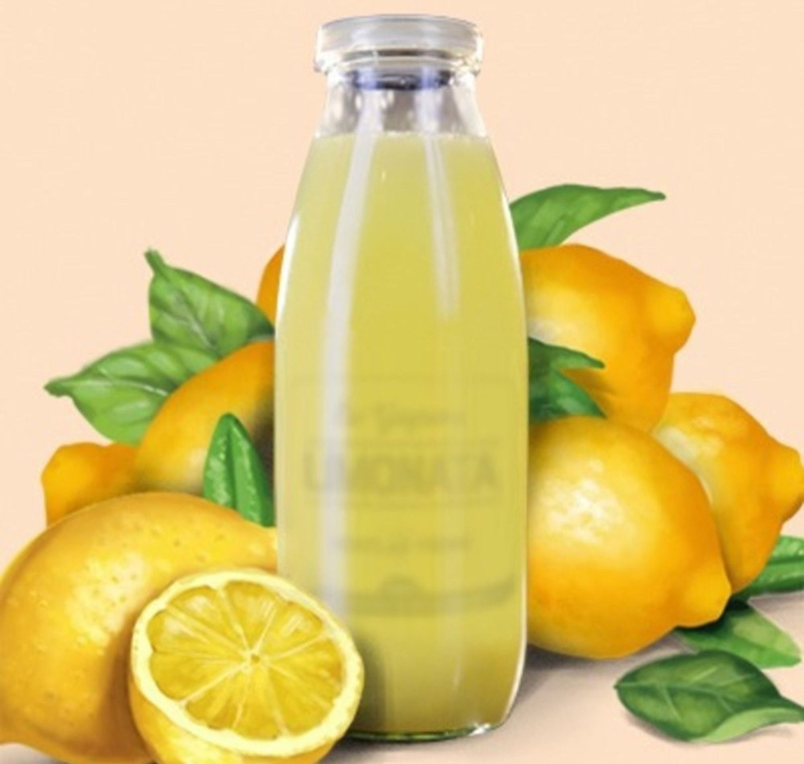 Ev Yapımı Limonata (30 cl.)