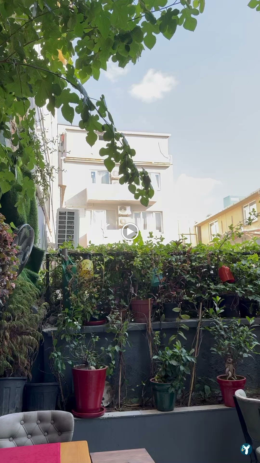 Hidden Garden