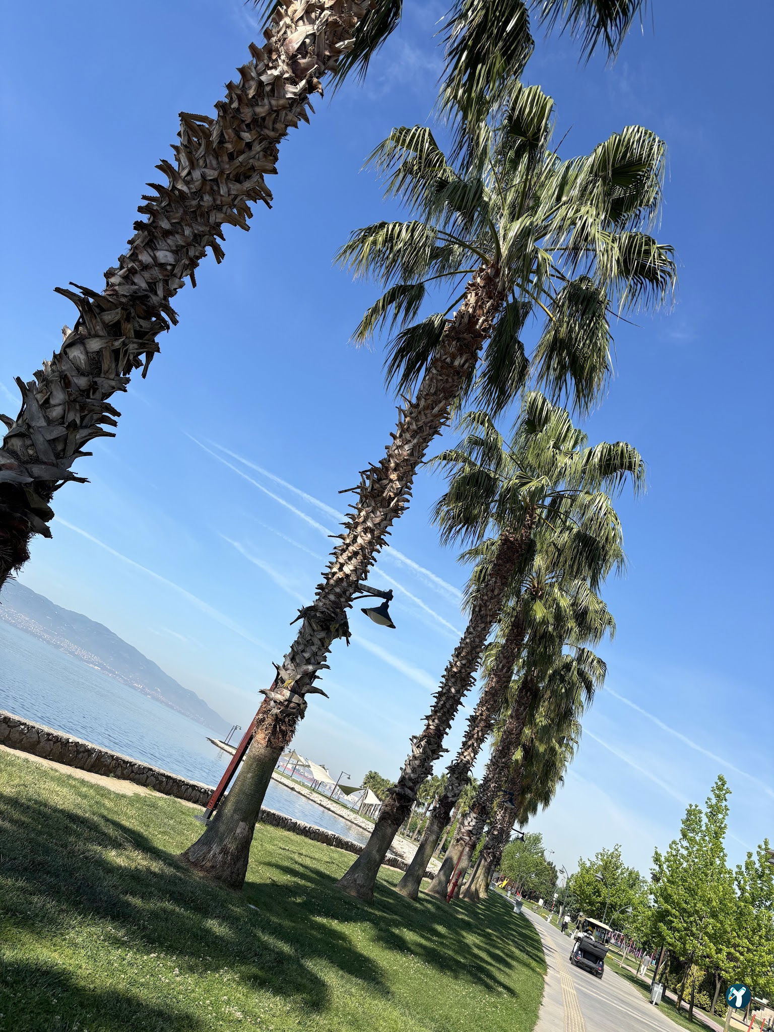 Maide Kafe & Restoran & Düğün Salonu