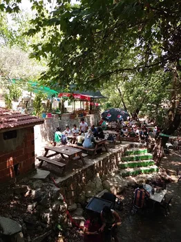 Ceviz Cafe & Kahvaltı Evi resimleri
