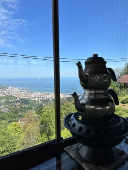 Dağmaran resimleri