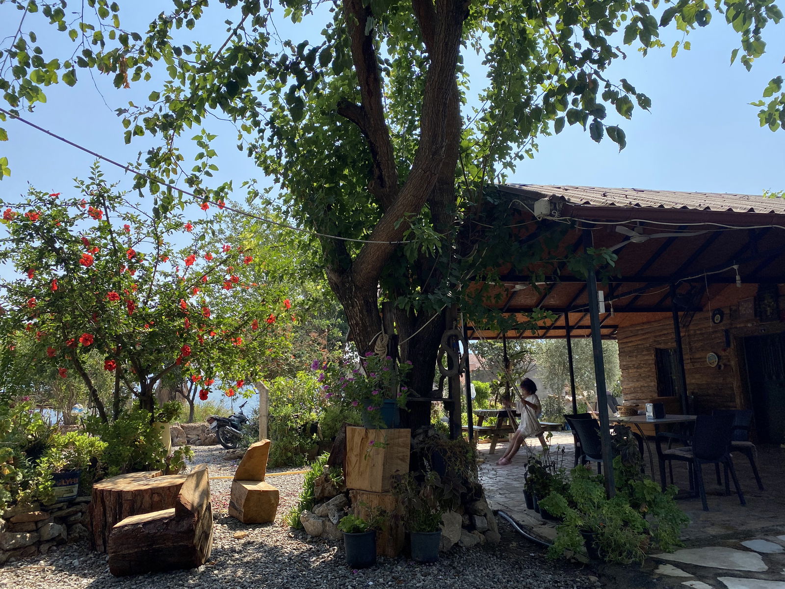 Yörem Gözleme Ve Kahvaltı Bahçesi