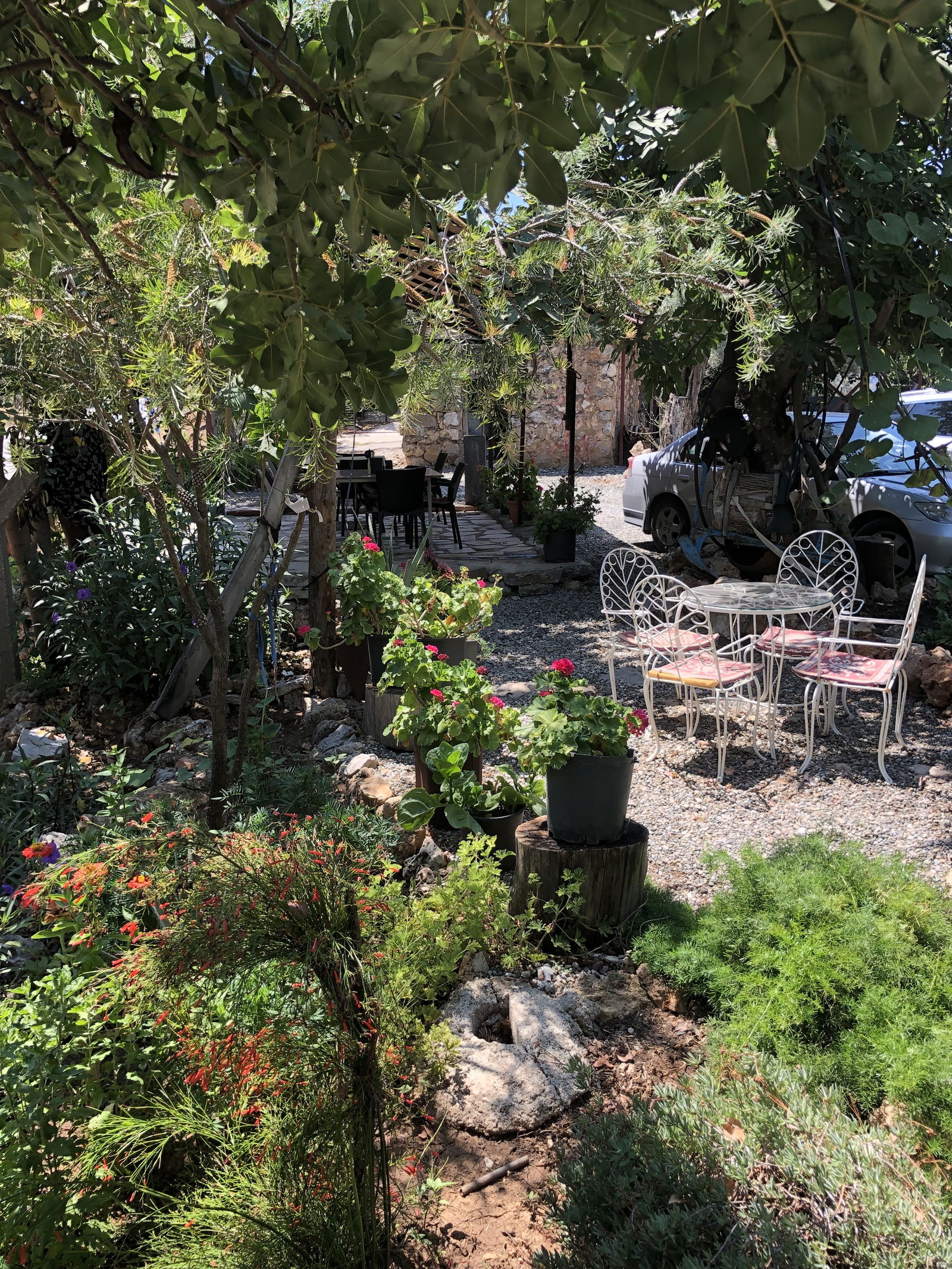 Yörem Gözleme Ve Kahvaltı Bahçesi