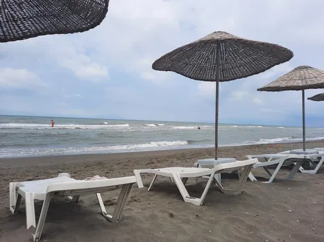 Kafe resimleri