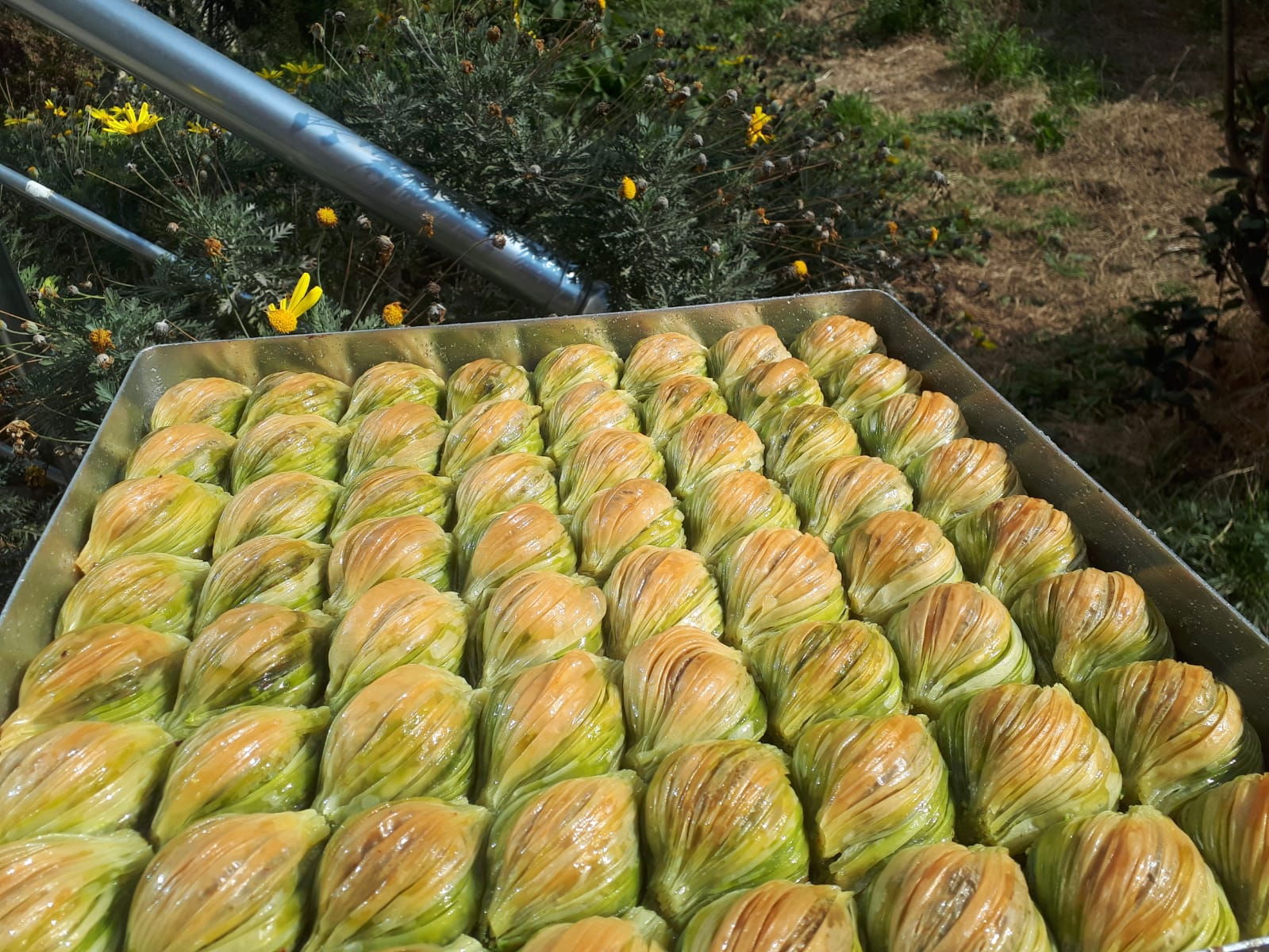 Kadıköy Saray Muhallebicileri