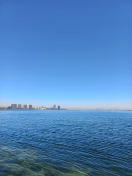 Manzara Restaurant resimleri