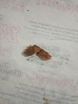 Öncü Döner resimleri