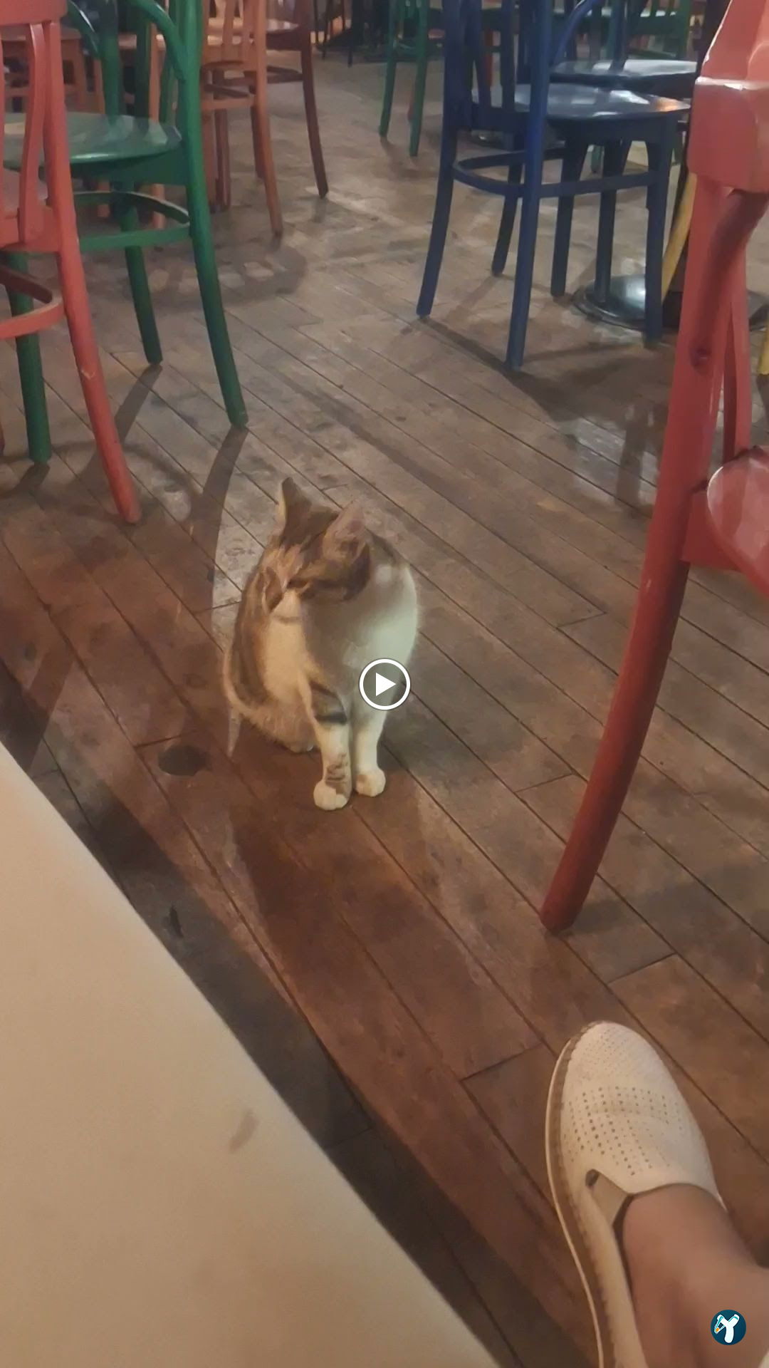 Macha Cafe Bistro