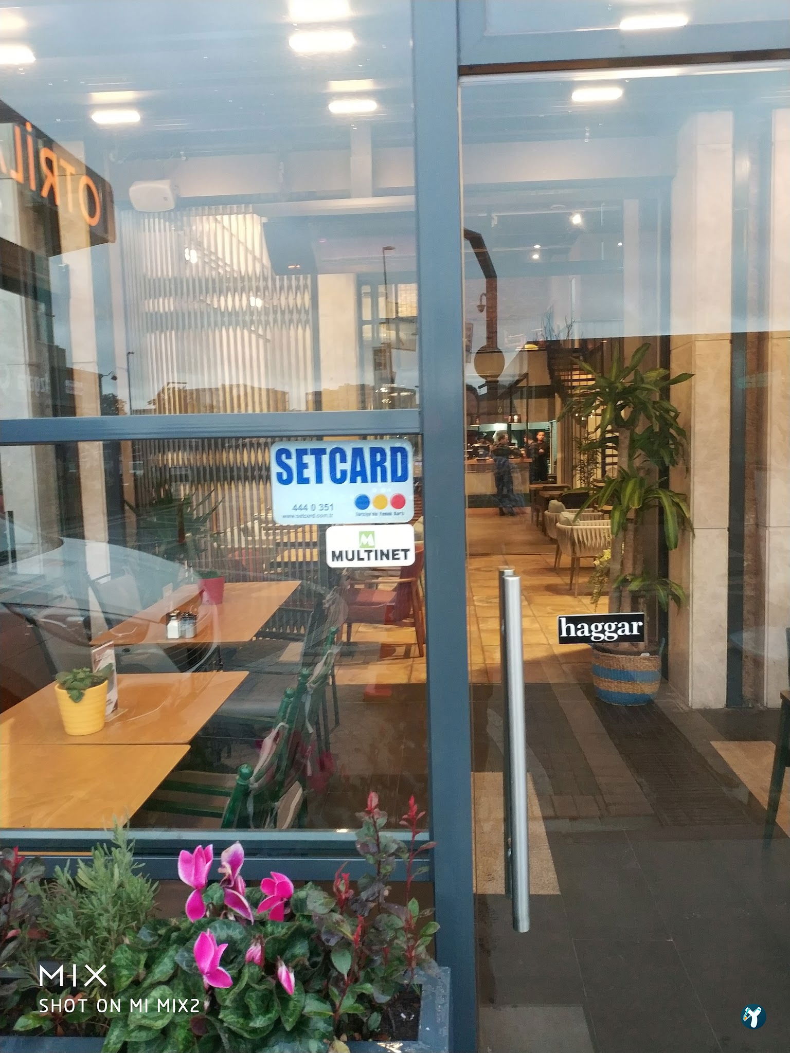 Papelon Cevizlibağ
