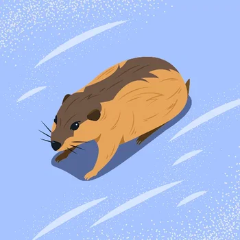 Mimarlık Kantini resimleri