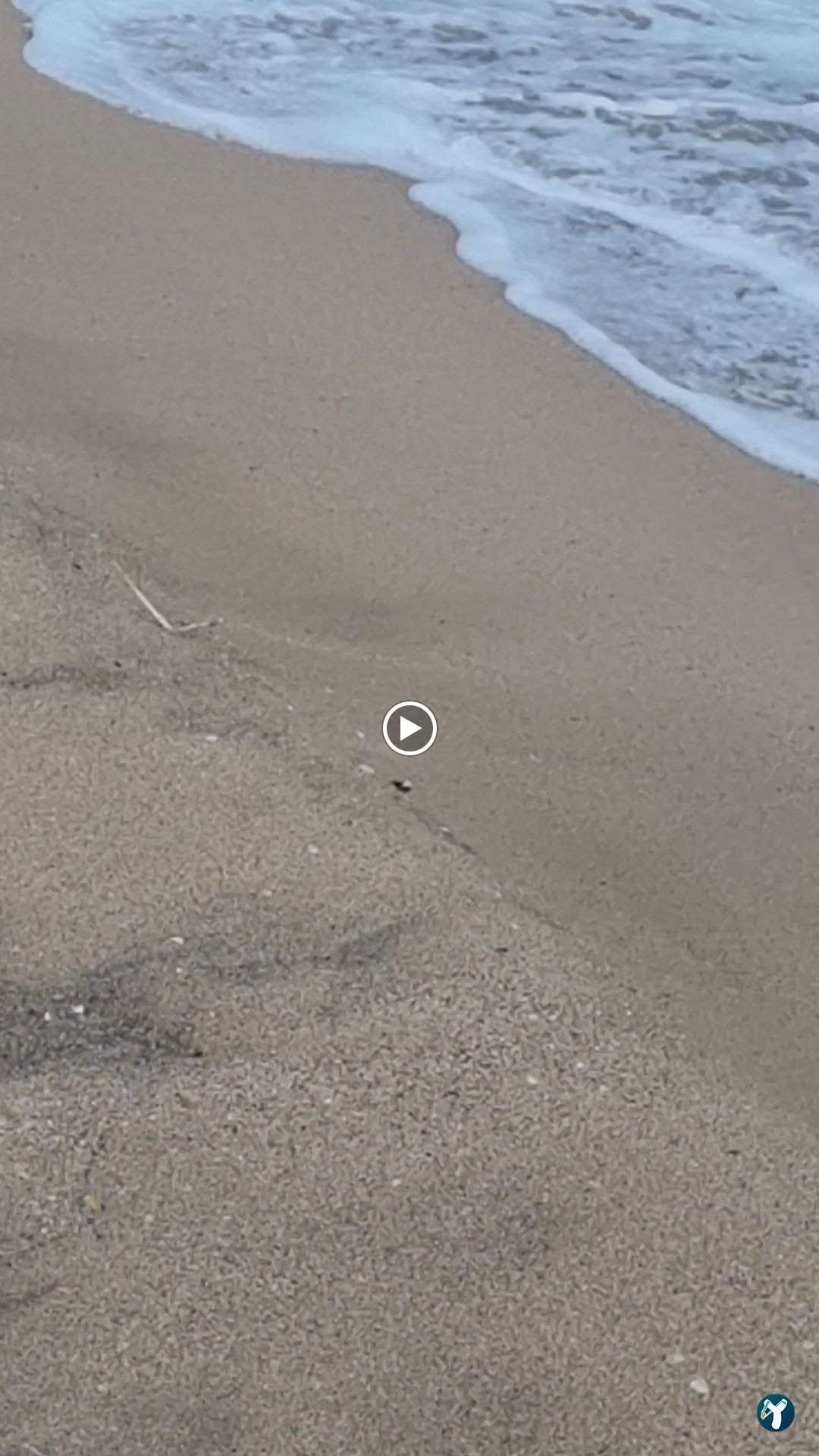 North Beach Şile