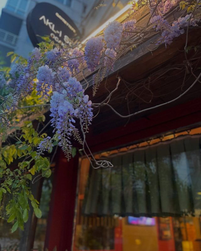 Akl-ı Selim Ocakbaşı