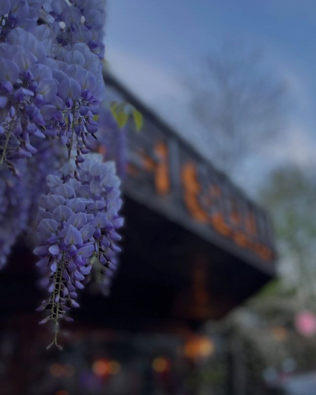 Akl-ı Selim Ocakbaşı