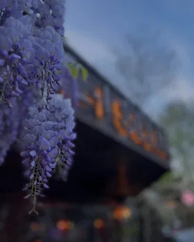 Akl-ı Selim Ocakbaşı resimleri