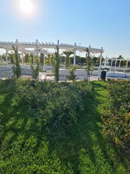 Maltepe Beach Parks resimleri