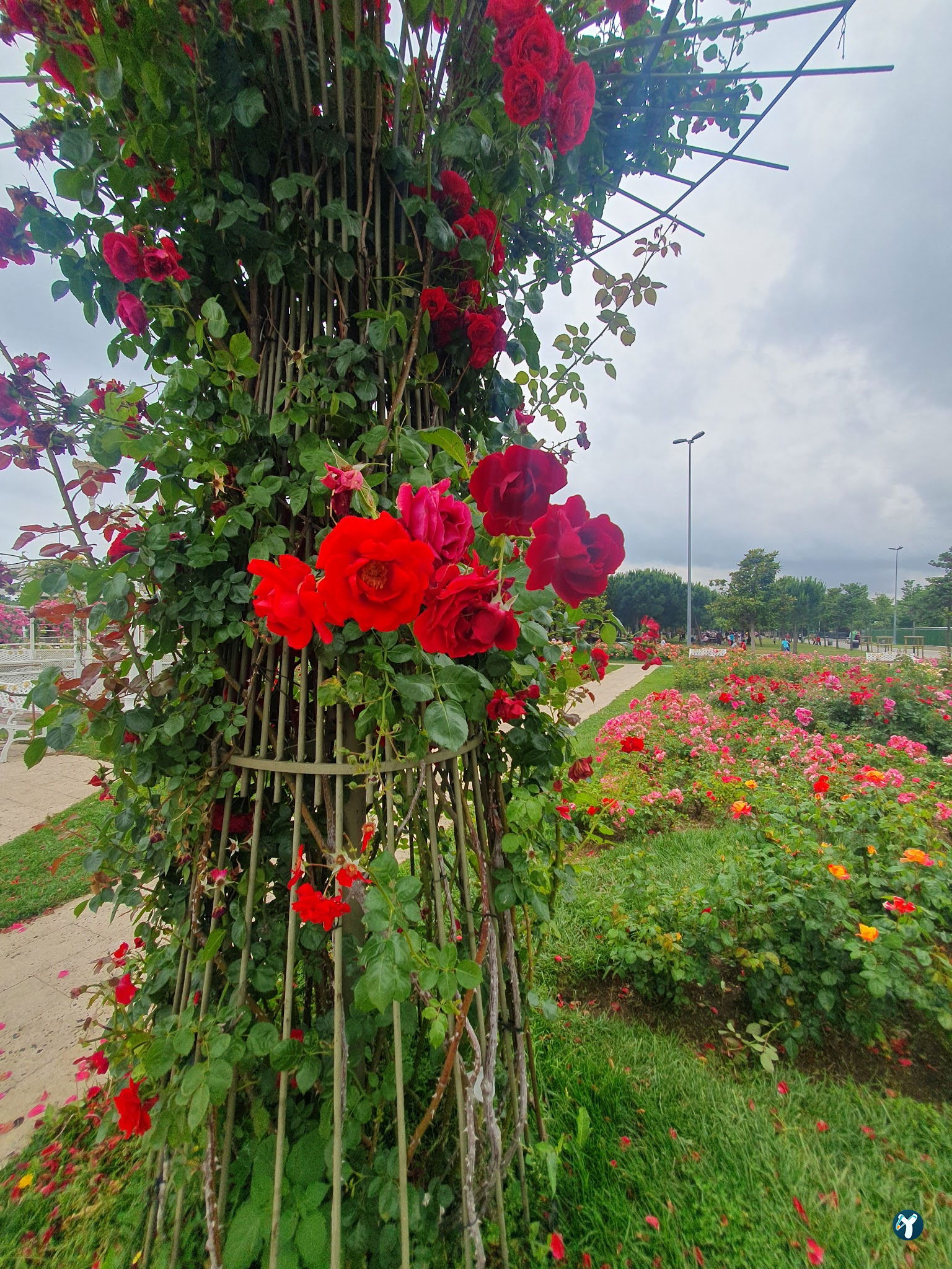 Maltepe Beach Parks