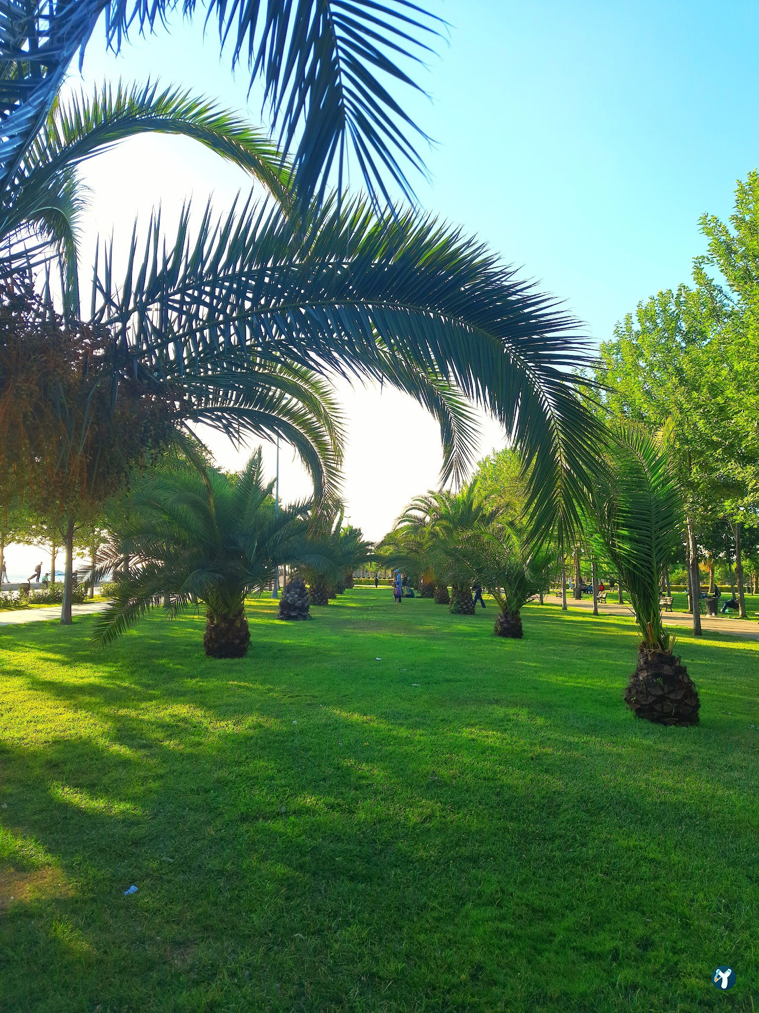 Maltepe Beach Parks