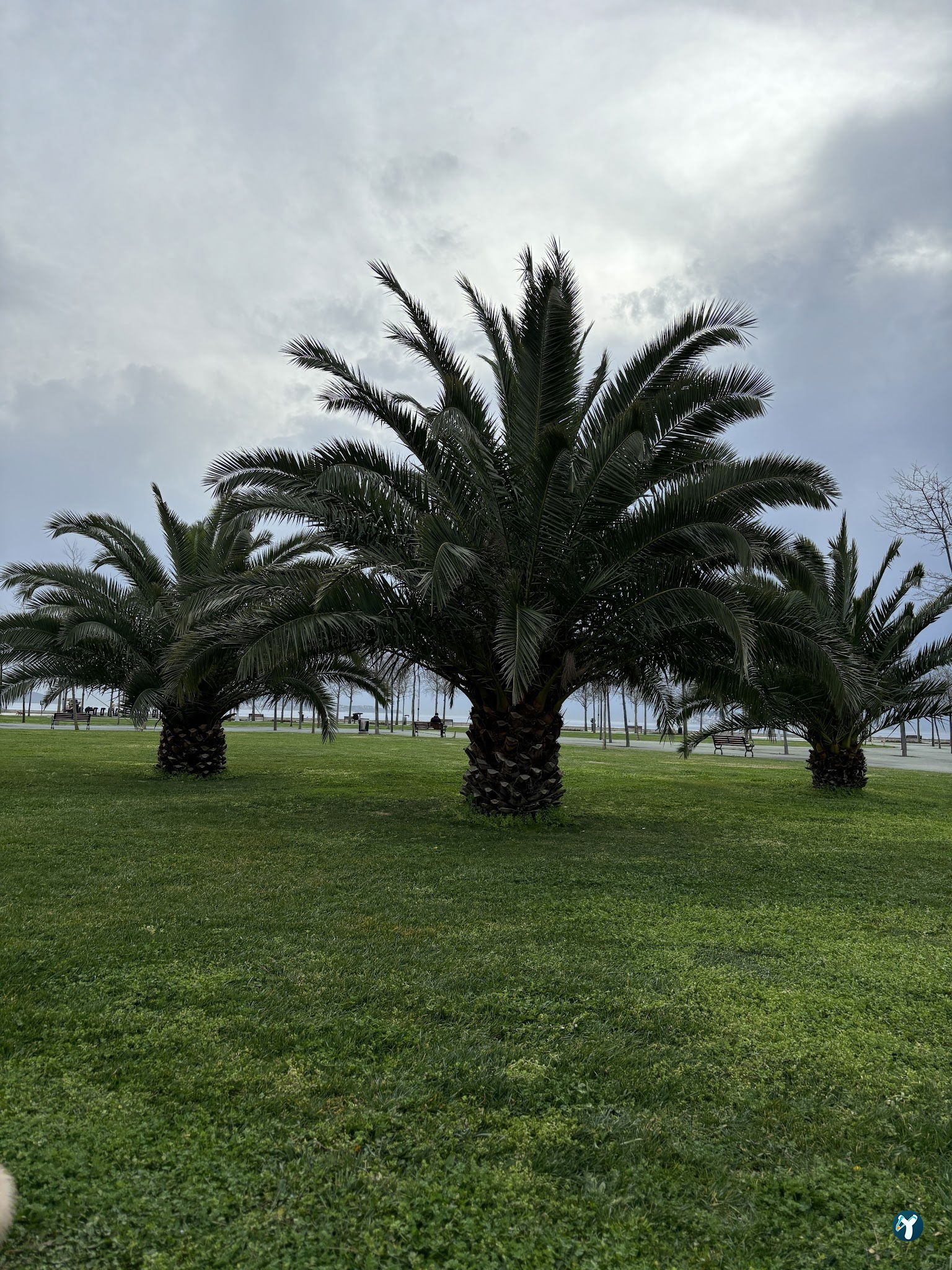 Maltepe Beach Parks