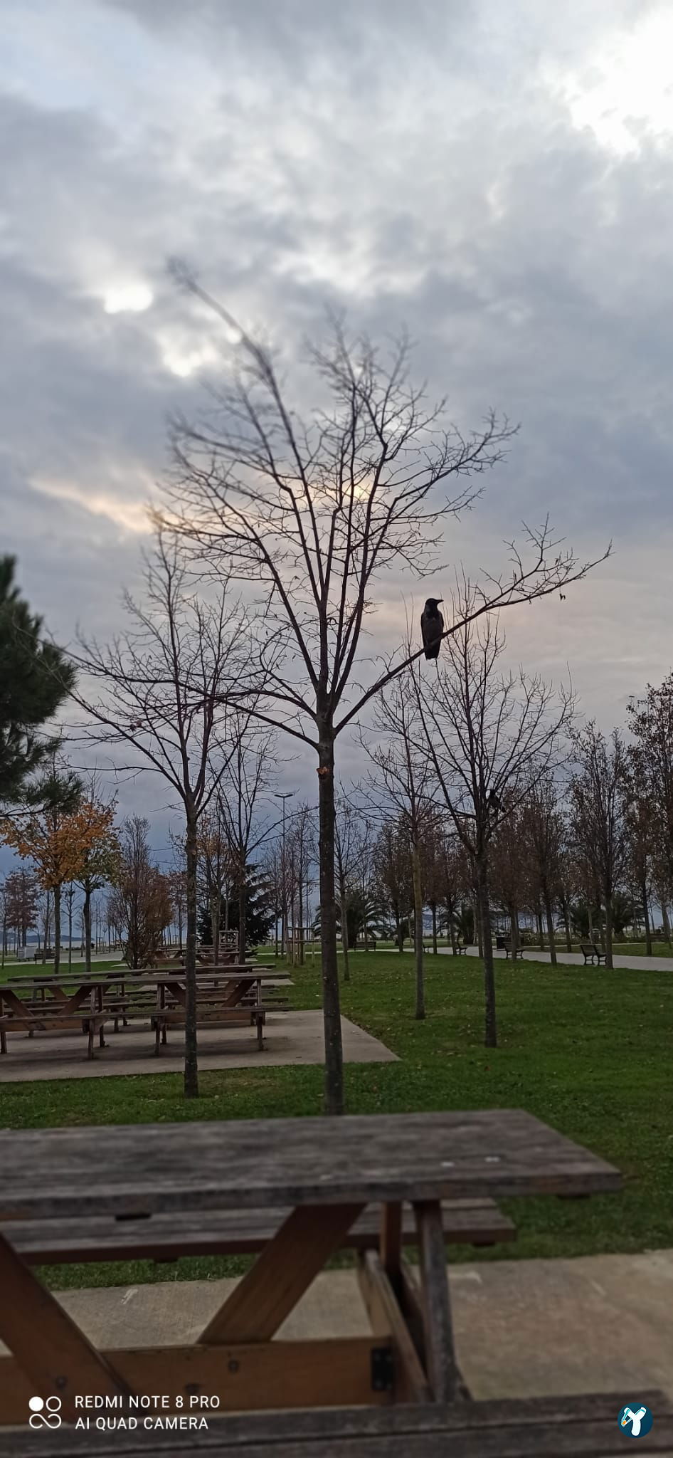 Maltepe Beach Parks