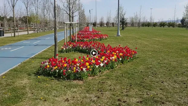 Maltepe Beach Parks resimleri Maltepe Beach Parks resimleri