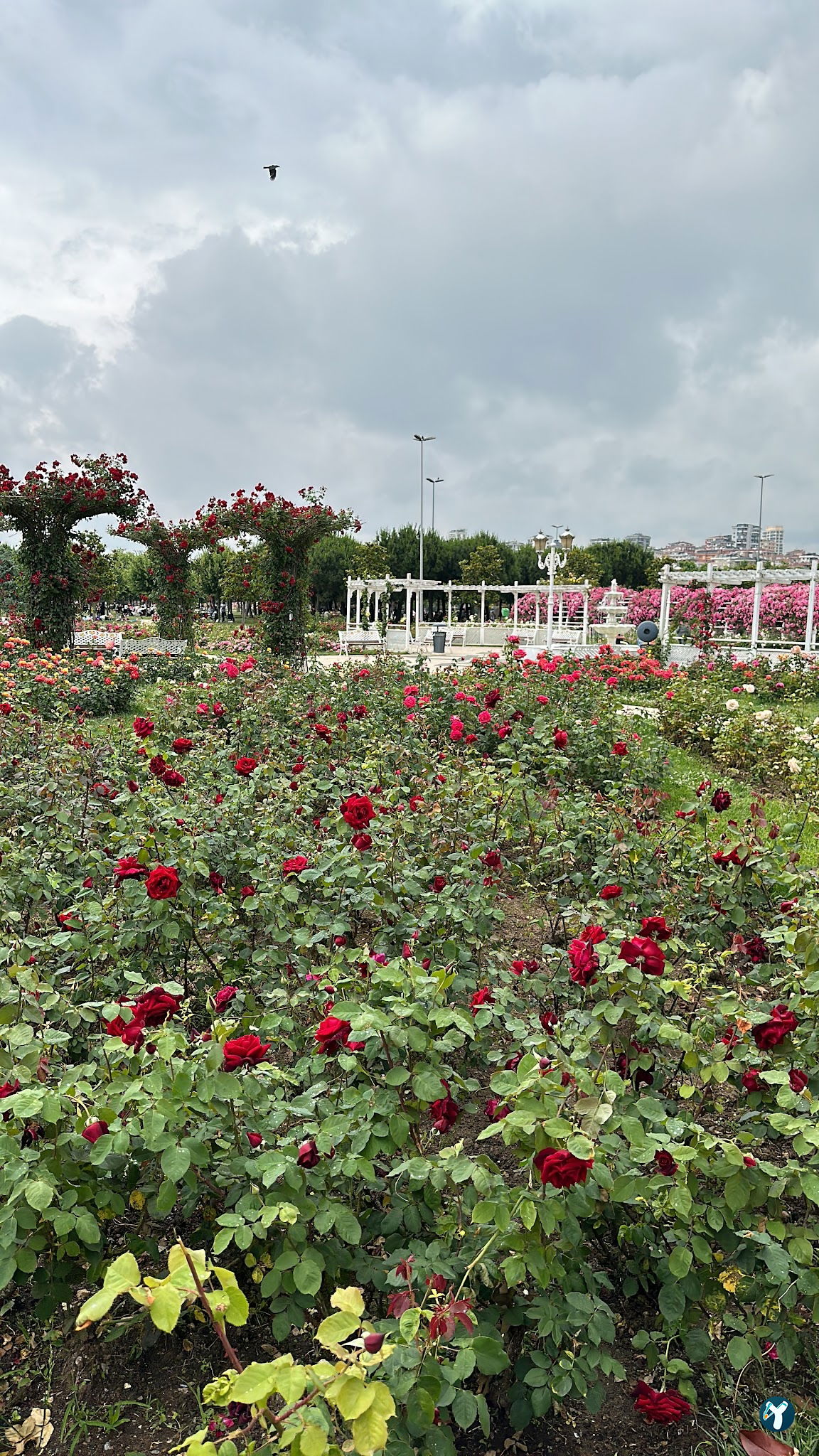 Maltepe Beach Parks