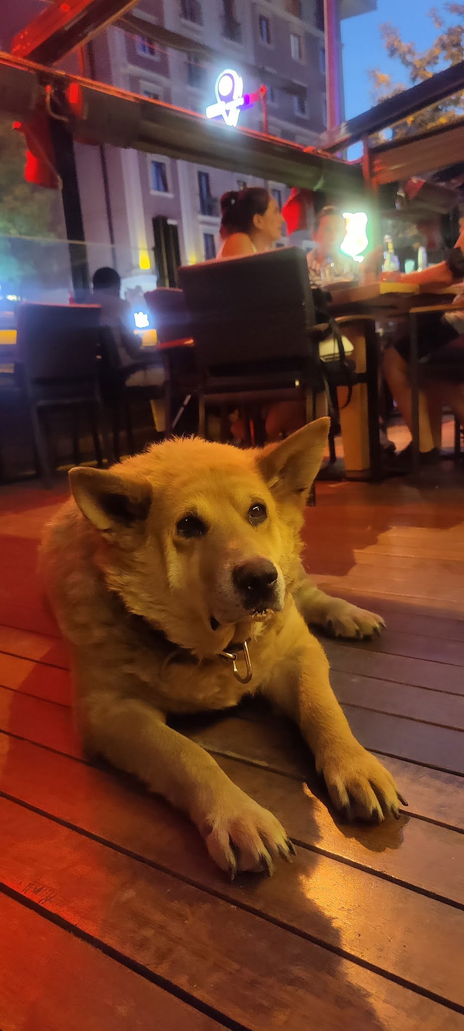 James Cook Cafe, Pub & Restaurant