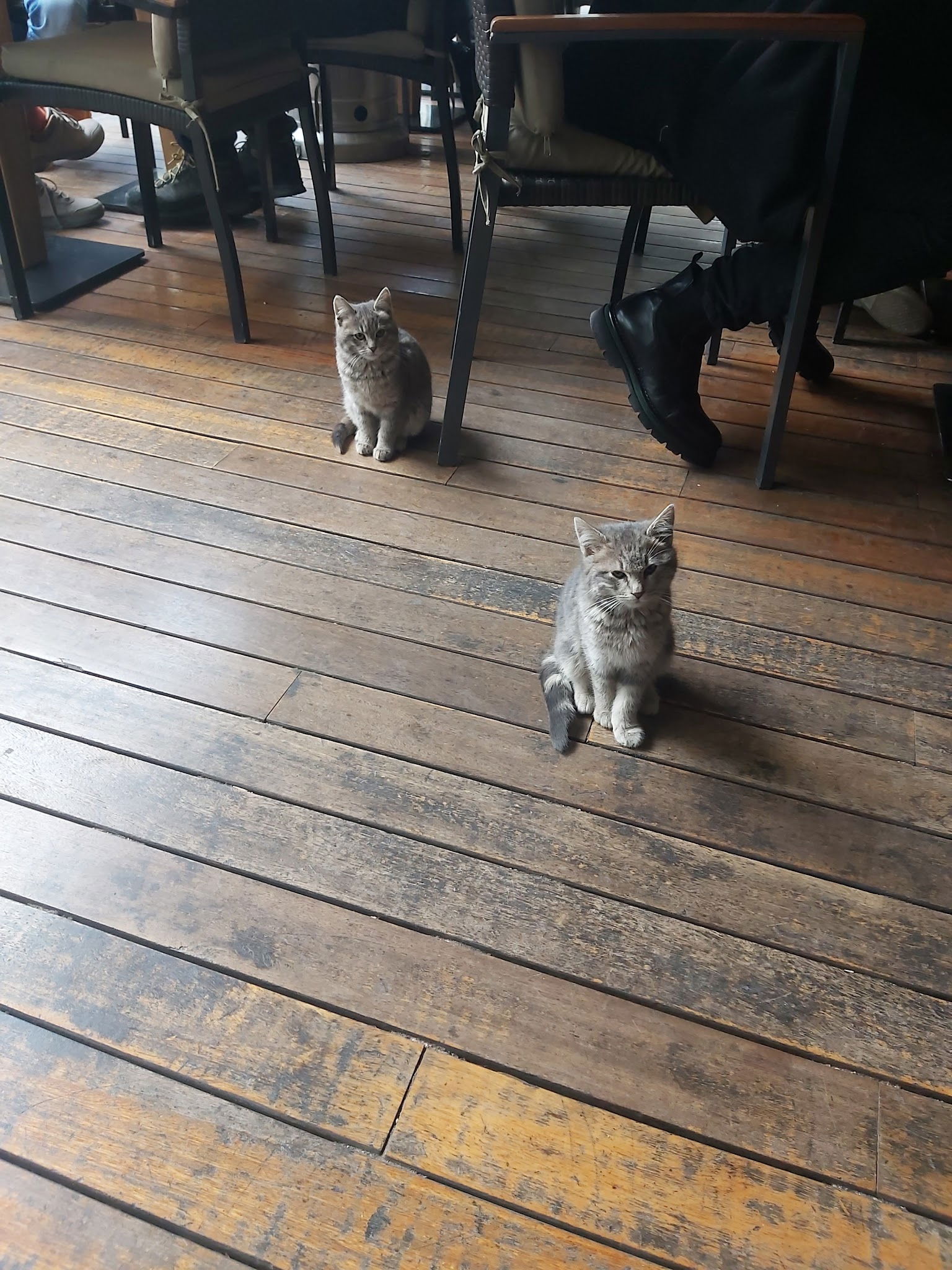 James Cook Cafe, Pub & Restaurant