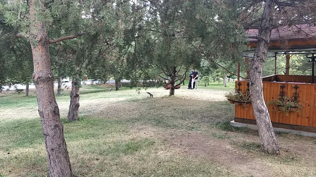 Ala Cafe resimleri