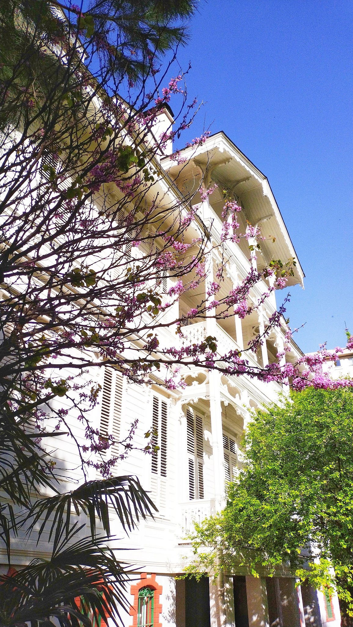 Beyaz Köşk Kadıköy