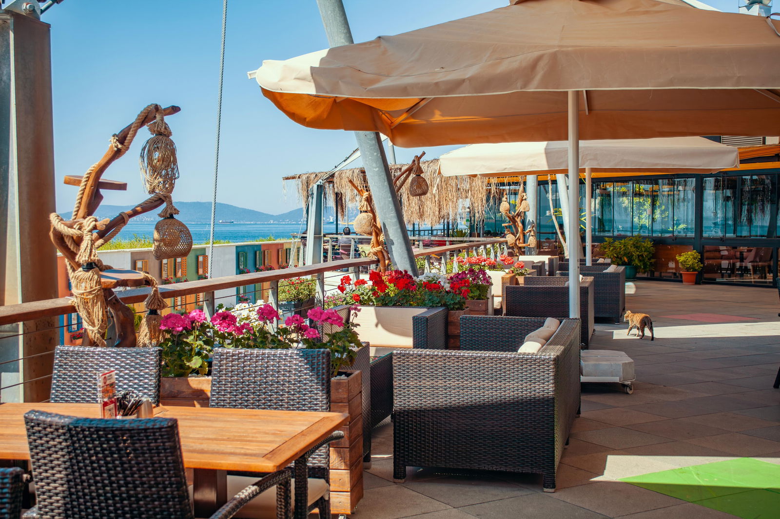 Douwe Egberts Coffee