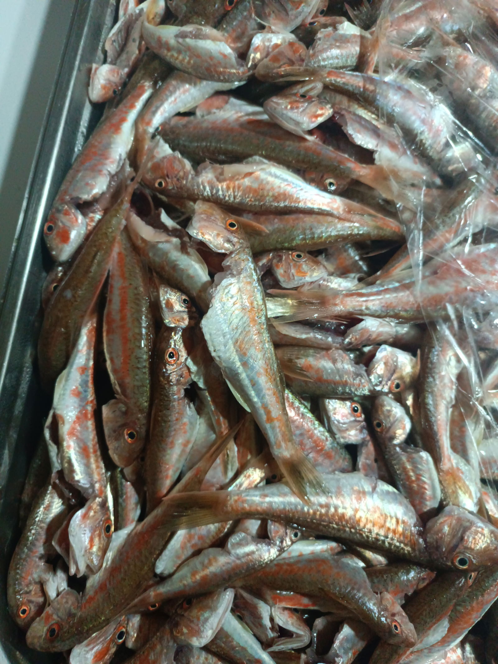 Güllüsu Yalçin Ai̇Le Balik Lokantasi