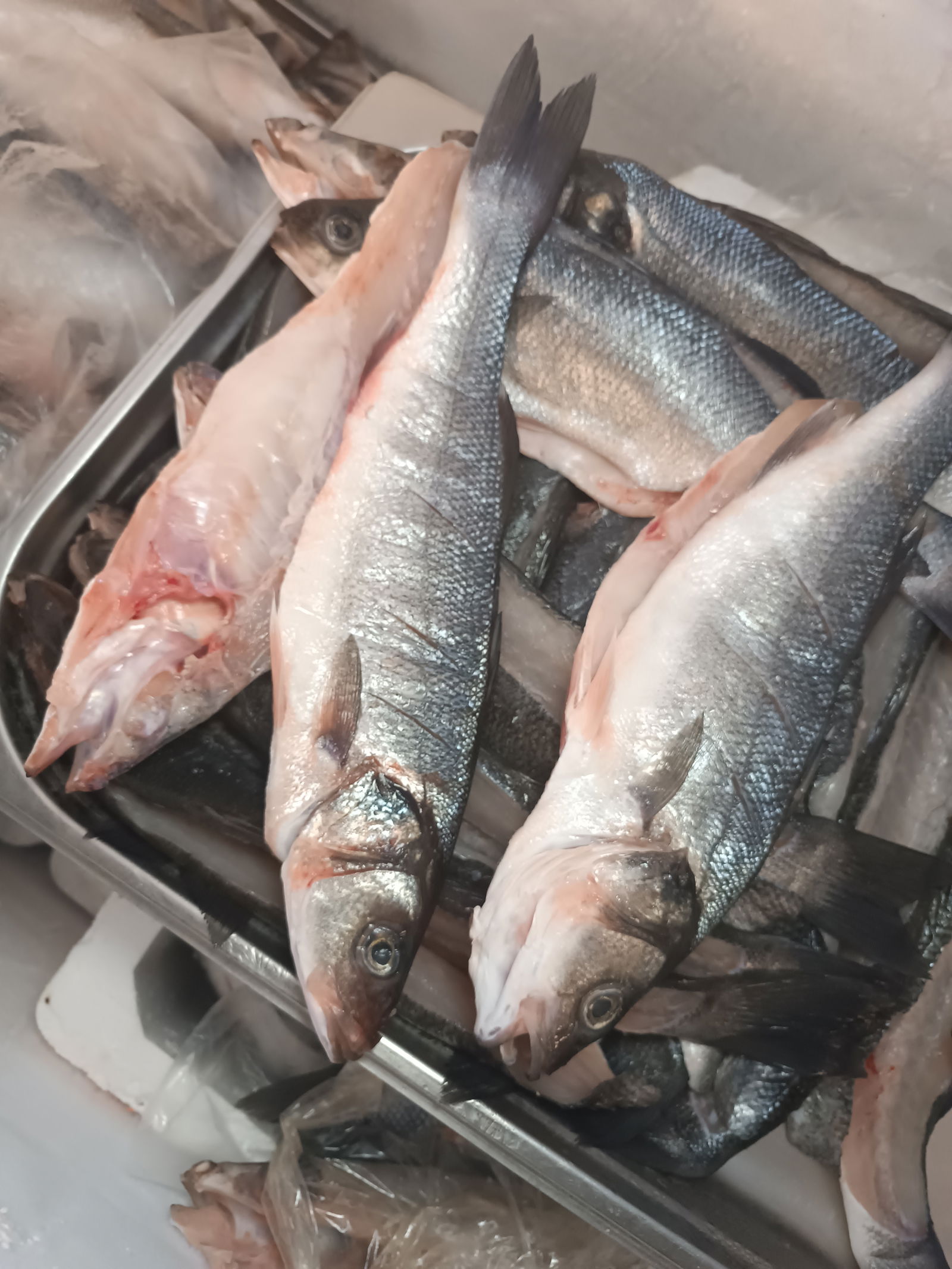 Güllüsu Yalçin Ai̇Le Balik Lokantasi