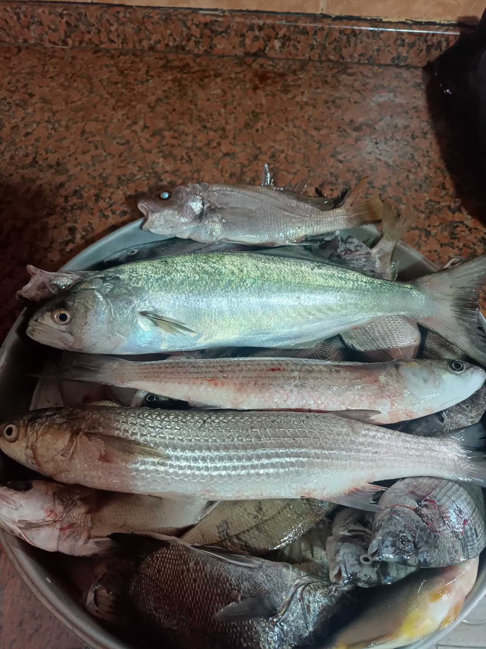 Güllüsu Yalçin Ai̇Le Balik Lokantasi