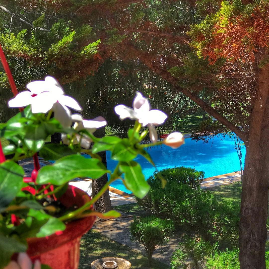 Rüzgaraltı Alaçatı