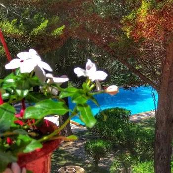 Rüzgaraltı Alaçatı resimleri