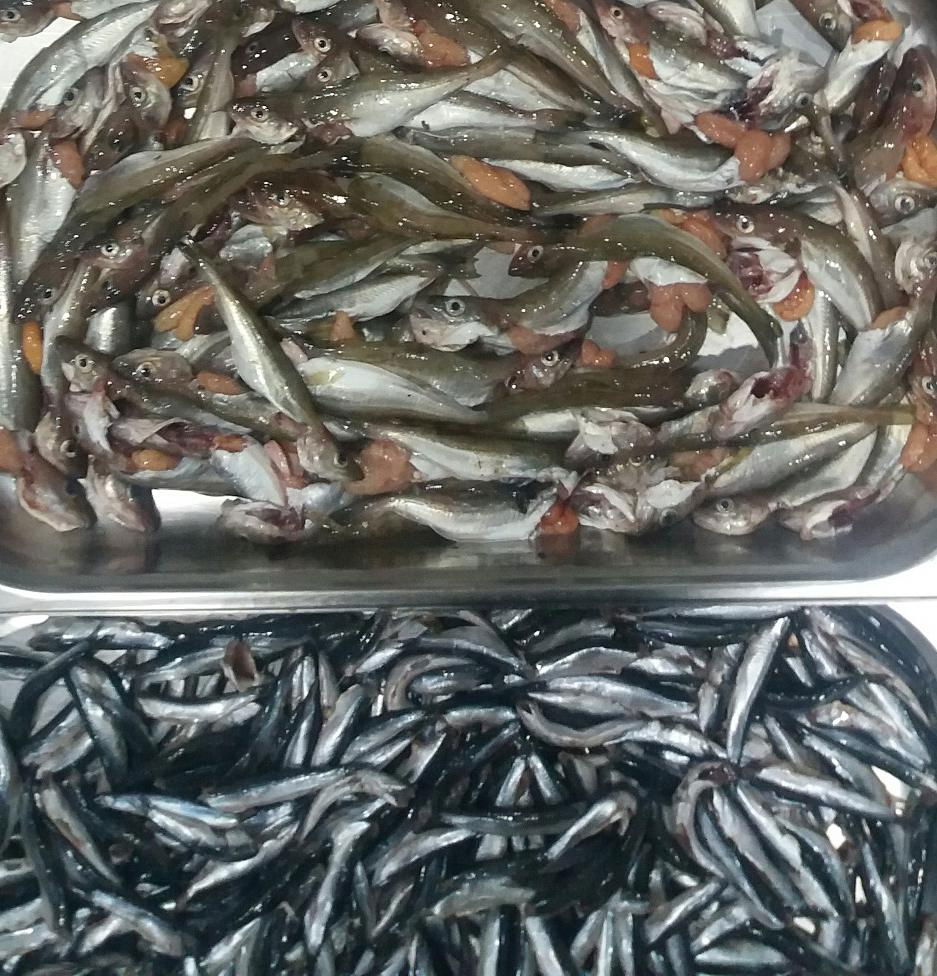 Lemariz Et Restaurant-Cafe Bistro