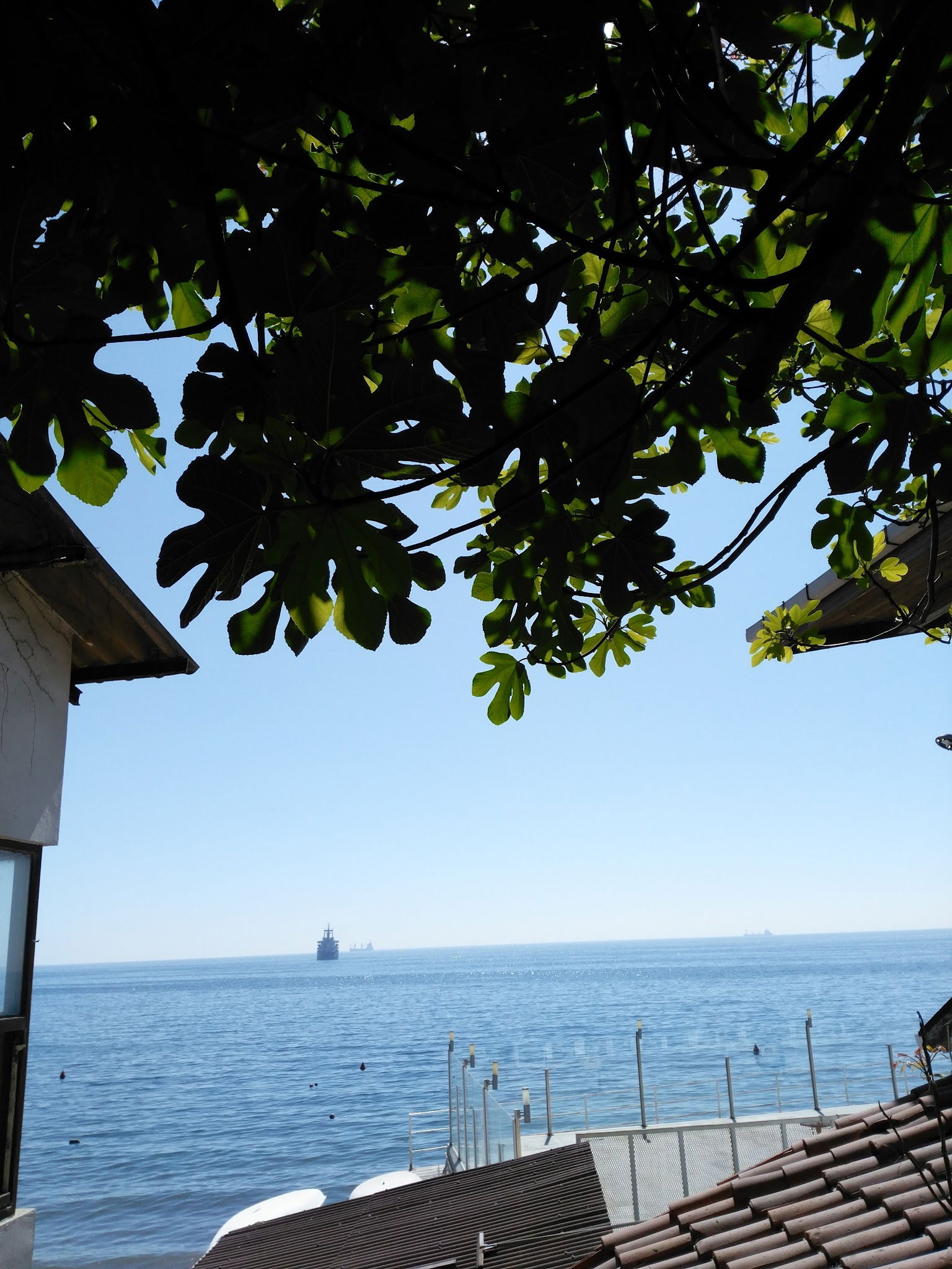 Tekirdağ Yelken Spor Kulübü