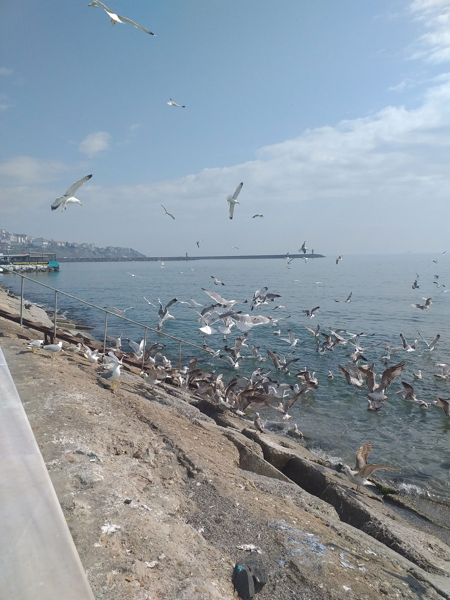 Tekirdağ Yelken Spor Kulübü