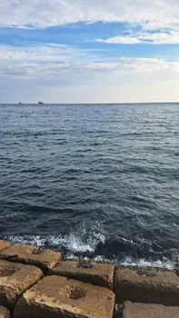 Tekirdağ Yelken Spor Kulübü resimleri