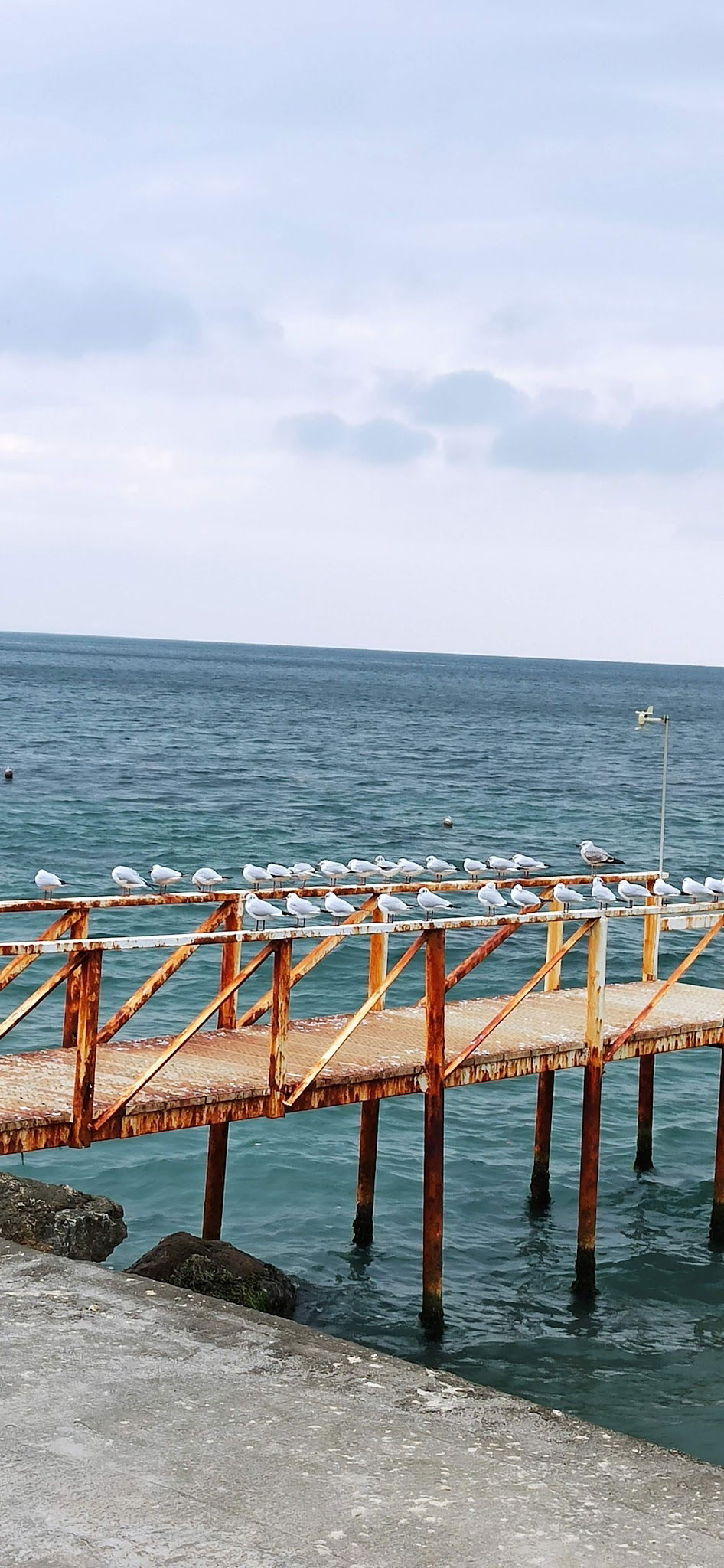 Tekirdağ Yelken Spor Kulübü