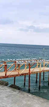 Tekirdağ Yelken Spor Kulübü resimleri