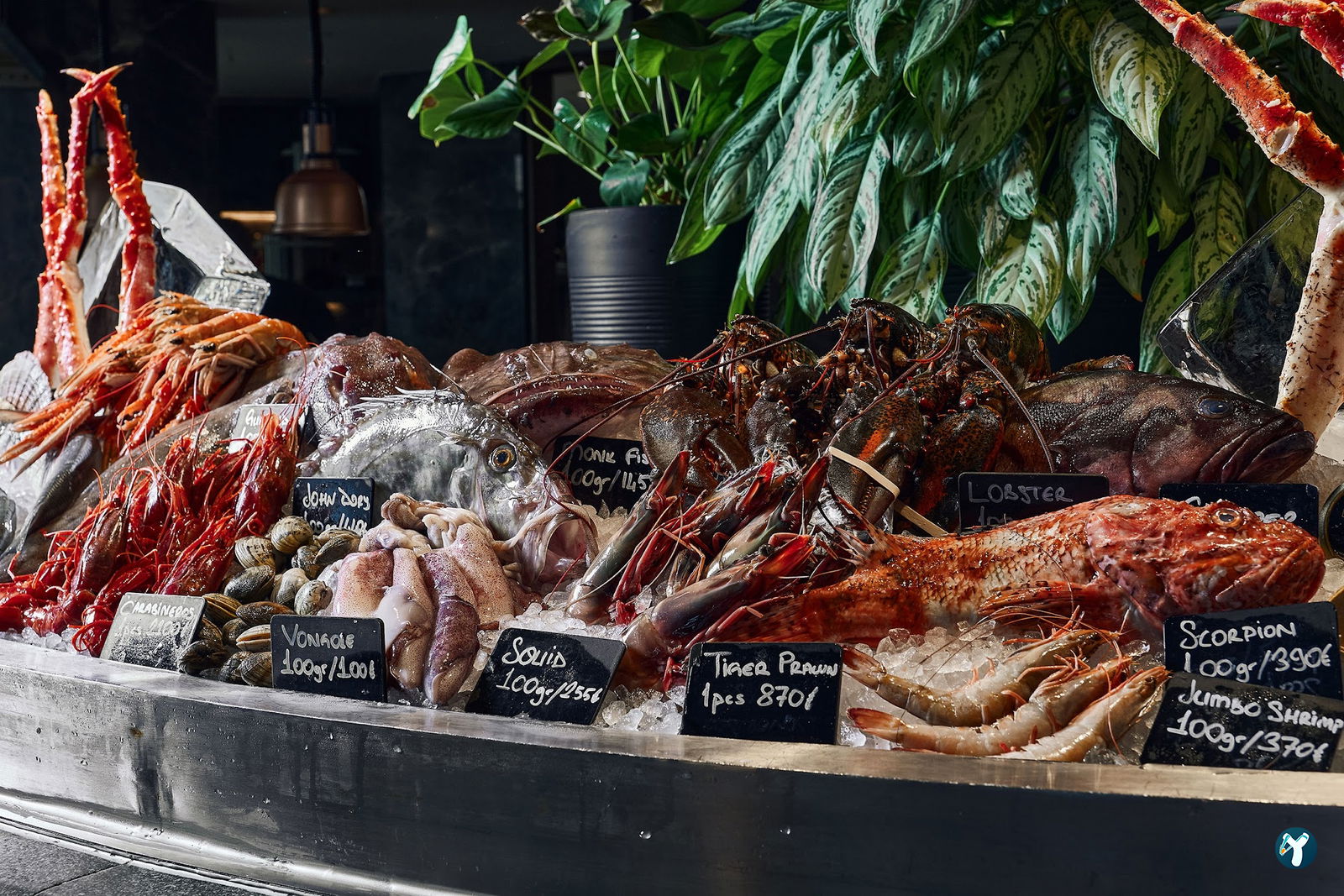 Novikov Istanbul Restaurant & Bar