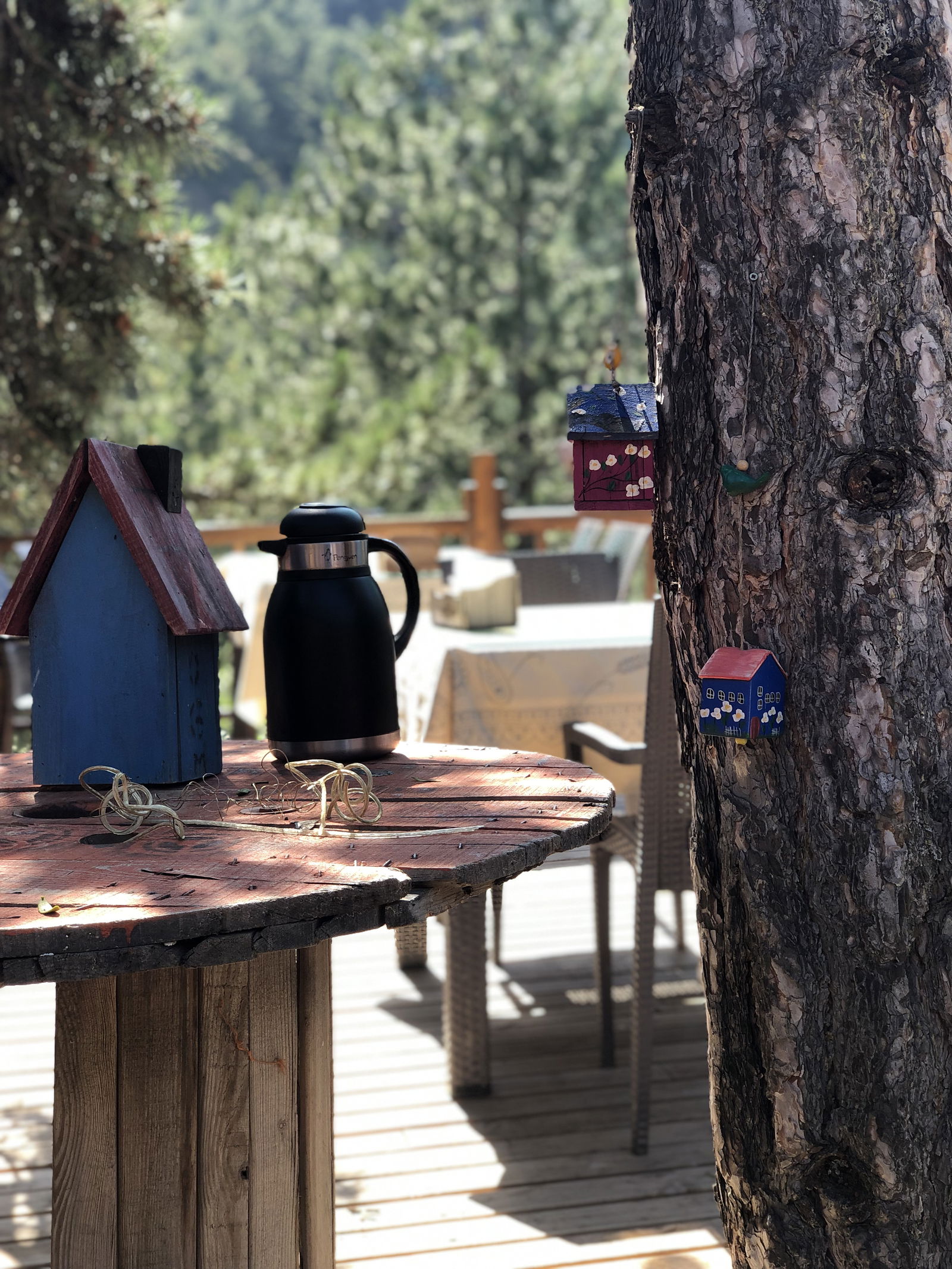 Bülbül Pınarı Mesire Alanı