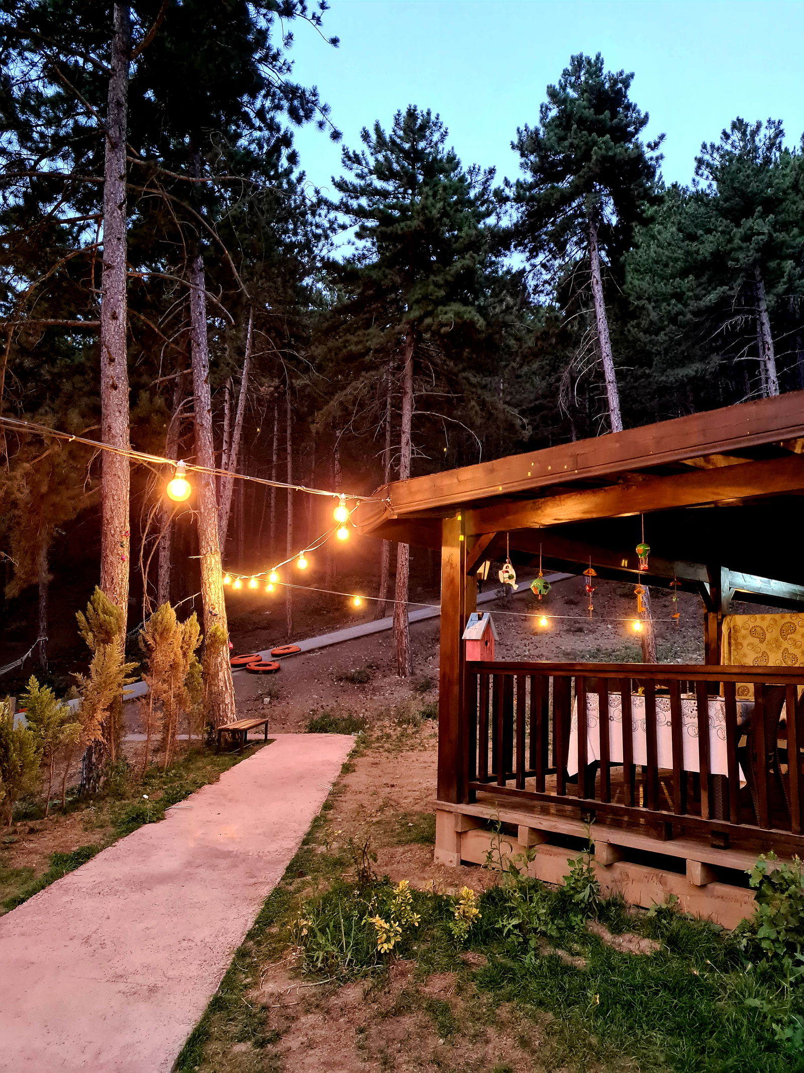 Bülbül Pınarı Mesire Alanı