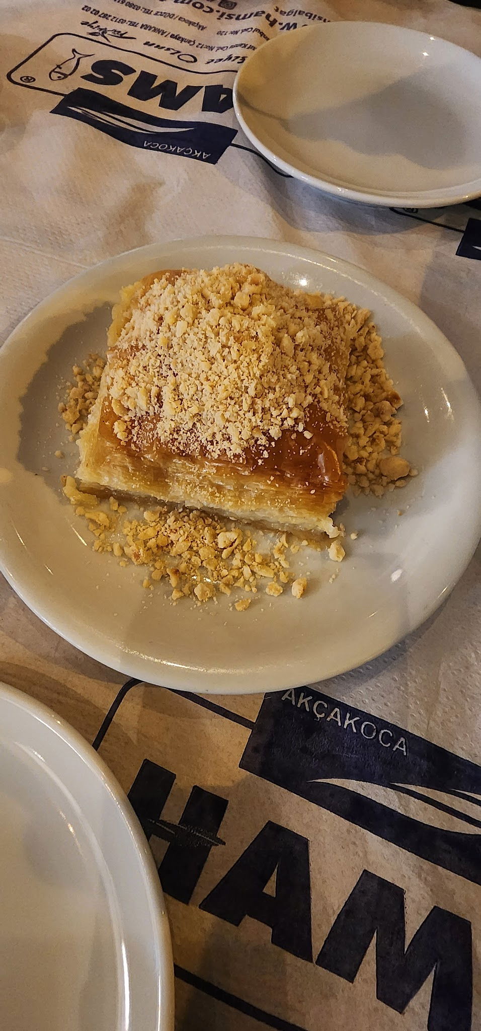 Hamsi Balık Lokantası - Balgat