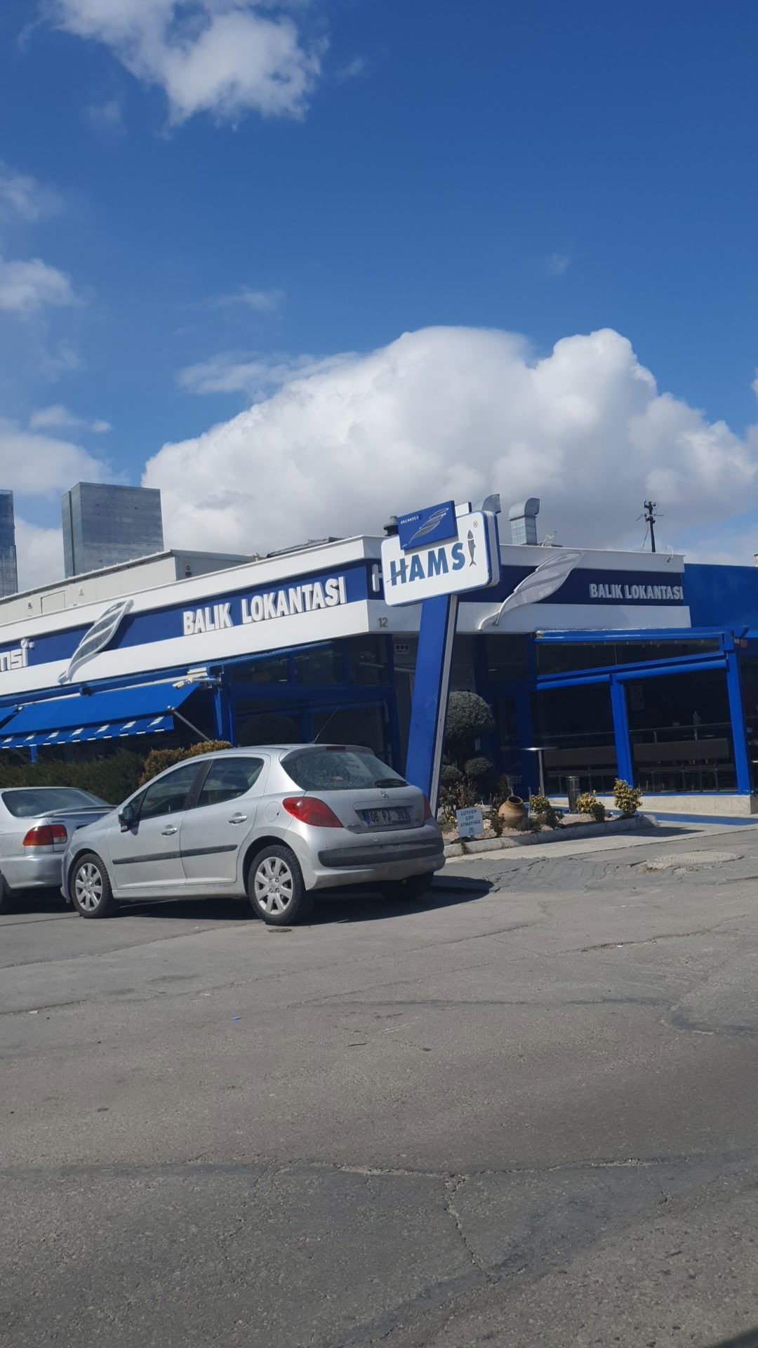 Hamsi Balık Lokantası - Balgat