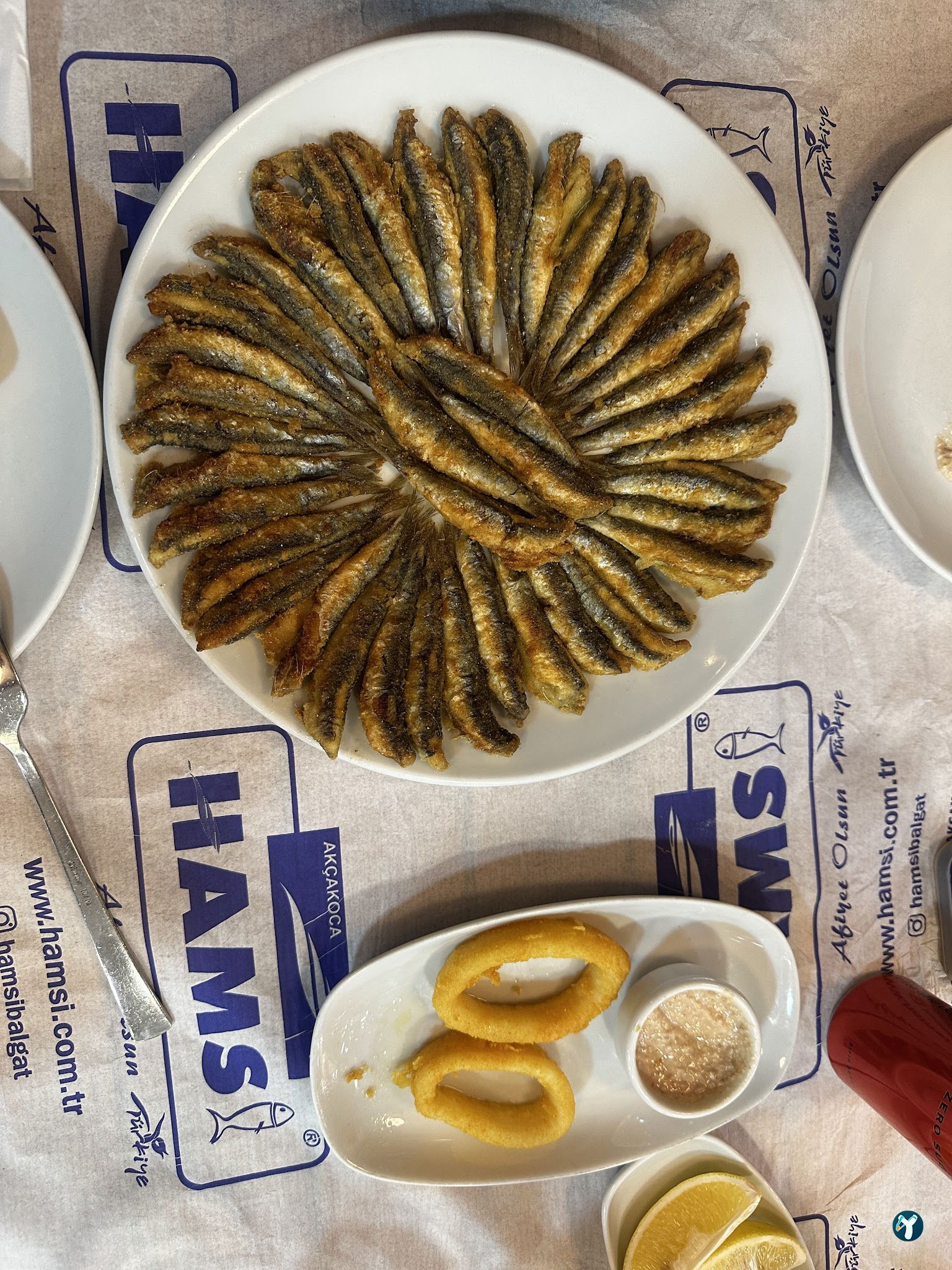 Hamsi Balık Lokantası - Balgat