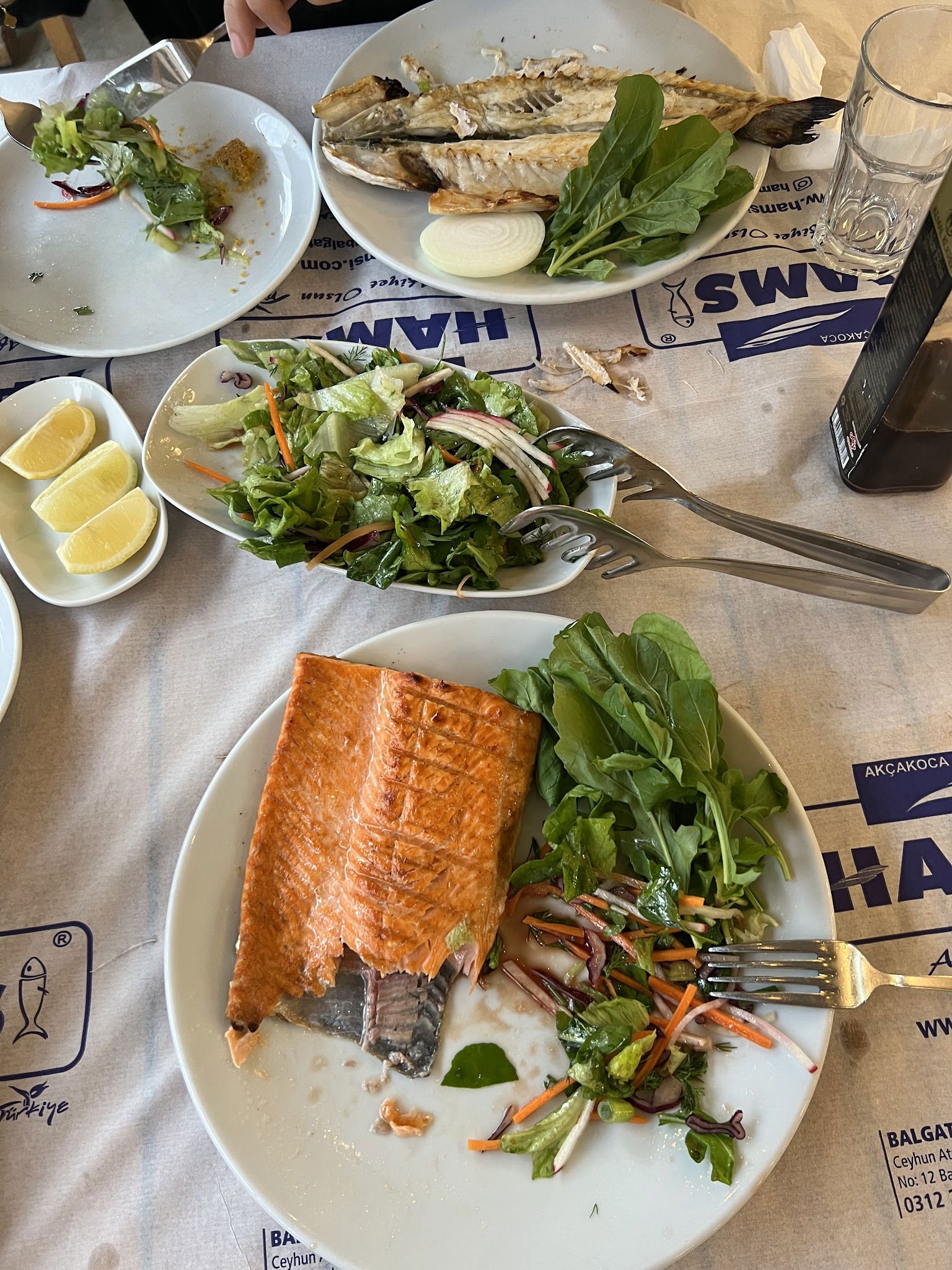 Hamsi Balık Lokantası - Balgat
